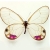 :iconapple-s: