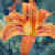 :iconappleblossom-s: