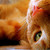 Appleblossom24 :iconappleblossom24: