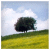 :iconappledesign: