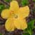 :iconapplejuice2424: