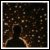 :iconappleperson: