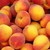 :iconapplepiz: