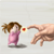 :iconapplesoveroranges: