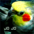 :iconapricorn:
