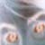 :iconaprilseesall: