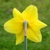 :iconaprilstock: