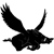 :iconaquabatflyer: