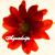 :iconaquadrips:
