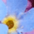 :iconaquae-sextiae: