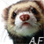 :iconaquaferret: