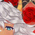 :iconaquagiraffe: