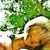 Aquamarien :iconaquamarien: