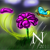 :iconaquanikki: