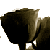 :iconaquanova27: