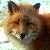 :iconaquasindar: