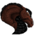 :iconaquata1: