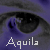 :iconaquila-chrysaetos: