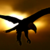 :iconaquila43:
