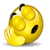 :iconaquilanoncapitmuscas:
