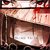 :iconaquilla-sensei: