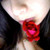 :iconarabella-mccall: