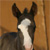 :iconarabianclass: