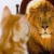 AraceliMarie :iconaracelimarie: