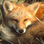 :iconarae-nirma:
