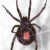:iconaraknea: