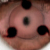 :iconaraku-shiku: