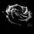 :iconaramina-rosewood: