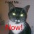 Aramirandme81 :iconaramirandme81: