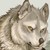 :iconarandomwerewolf: