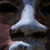 :iconarango-works: