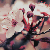 :iconarankaa: