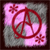 :iconarankachie: