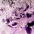 :iconaraphete-rising:
