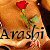 :iconarashidarkefae: