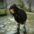 :iconarashitech: