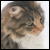 :iconaravinaphoto: