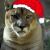 :iconarawin-al-artham: