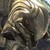 :iconarbiter-thelvadam: