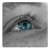 :iconarbooke: