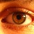 :iconarcallion: