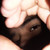 :iconarcandres: