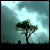 :iconarcaneautumn:
