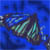 :iconarchadian-angel: