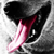 :iconarchaeo-onyx: