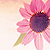 :iconarchanaa: